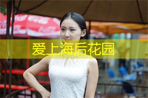 走进上海论坛：探索城市精英们交流的秘密花园！